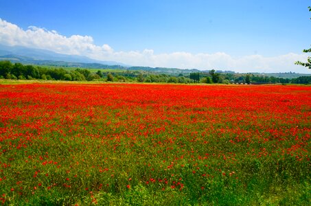Field sky landscape