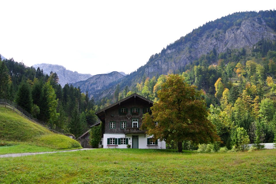 Austria, Mountain, Tree
