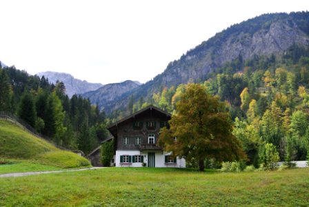 Austria, Mountain, Tree