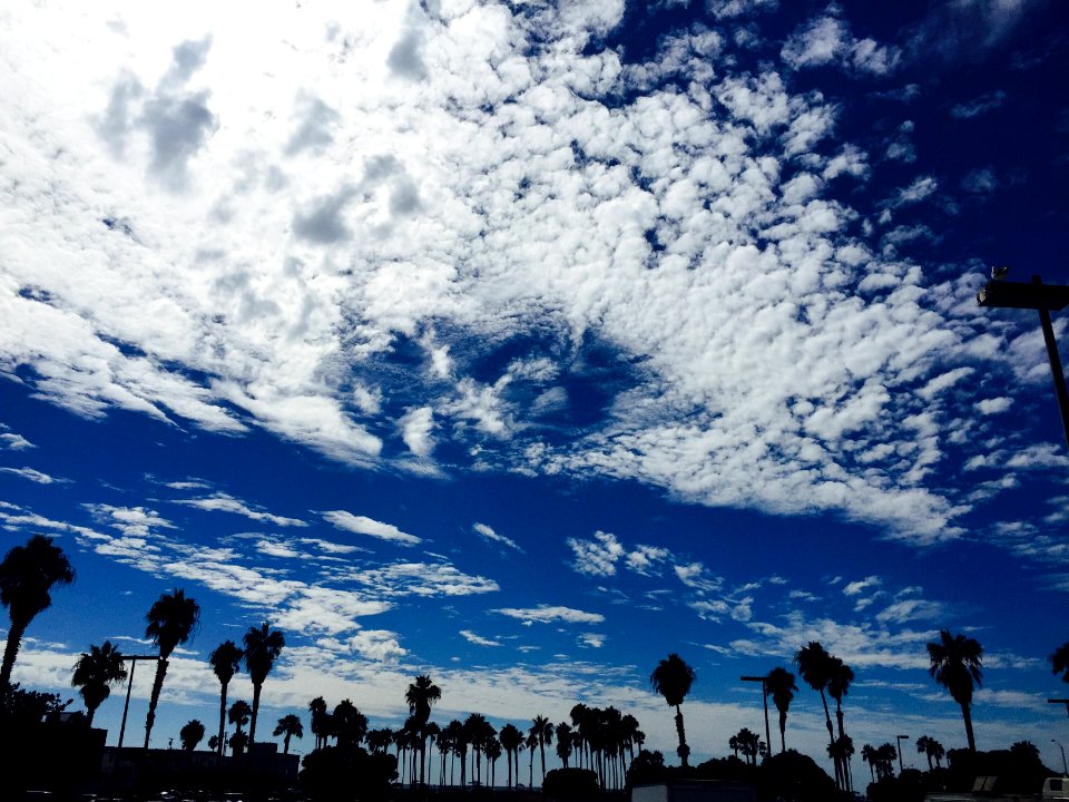 Mission beach, San diego, California