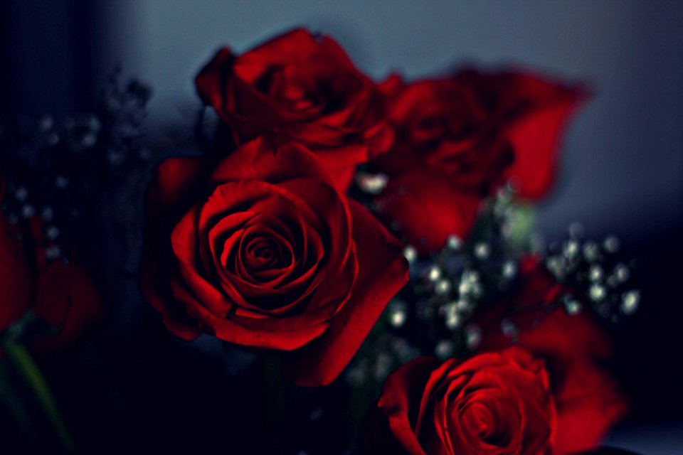Relax, Love, Flowers