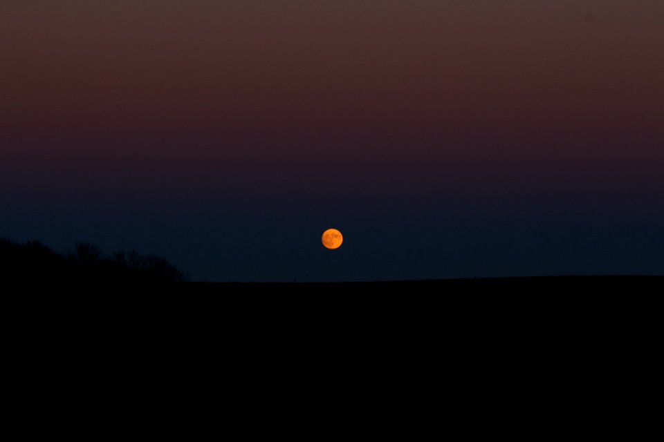 Night sky, Moon, Supermoon