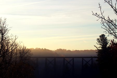 Trees, Train track, Train bridge photo