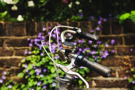 Bike brake levers close-up