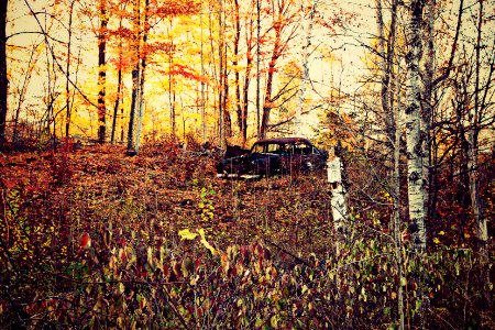 Old car, Wreck, Antique