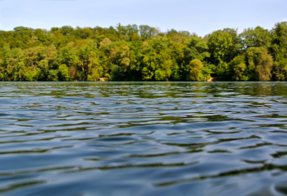 Switzerl, Trees, Water