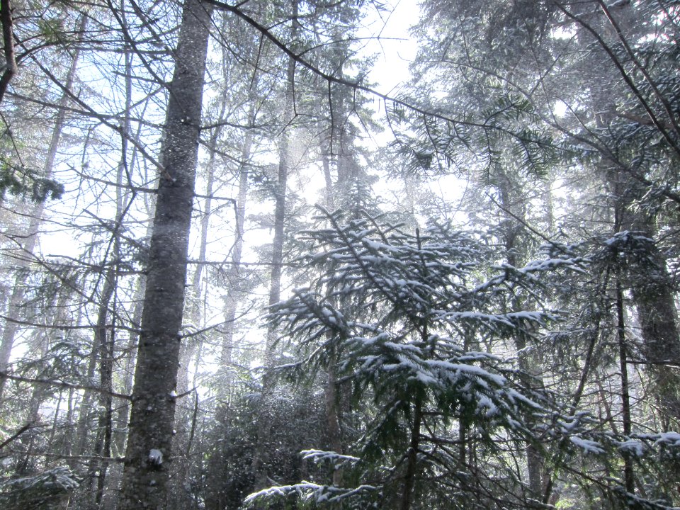 Mount isolation, United states, Snow