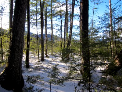 Mount isolation, United states, Shadow