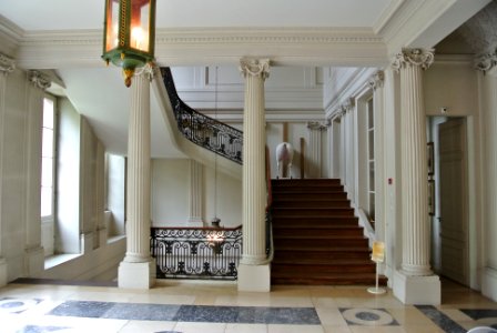 Stairs, Horse, Floor