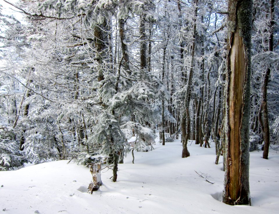 Mount isolation, United states, Mountain