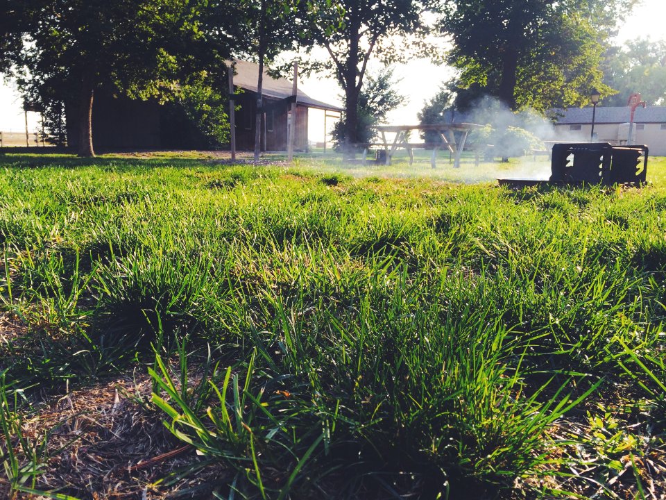 Gothenburg, United states, Grass