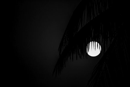 Monochrome, Dusk, Sun
