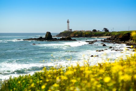 Pigeon point lighthouse, Pescadero, United states photo