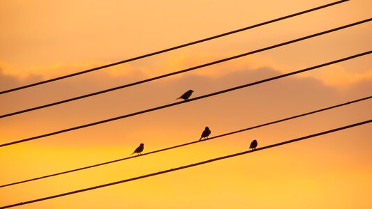 Sky colors dusk photo