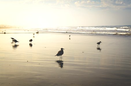 Santa monica, United states, Sunrise