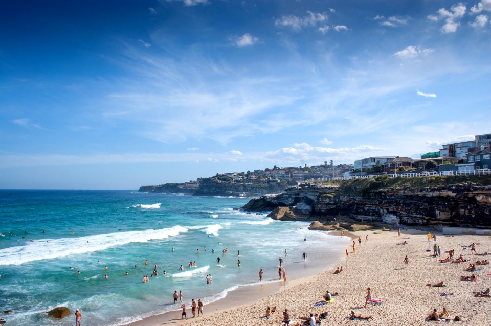 people on the seashore and swimming on the body of water