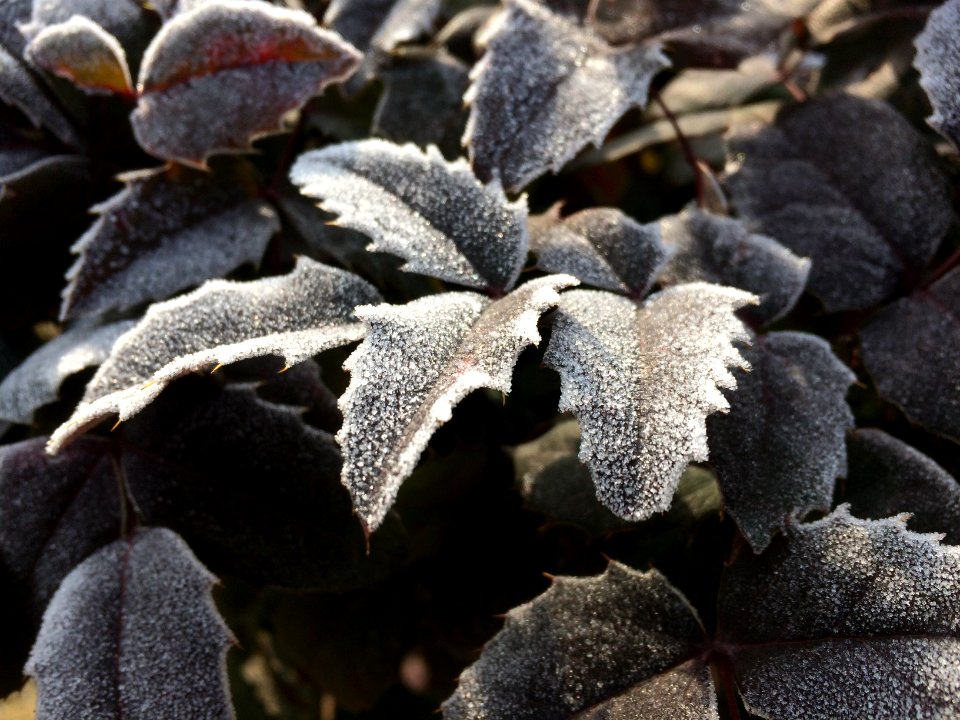 Ankara, Turkey, Winter