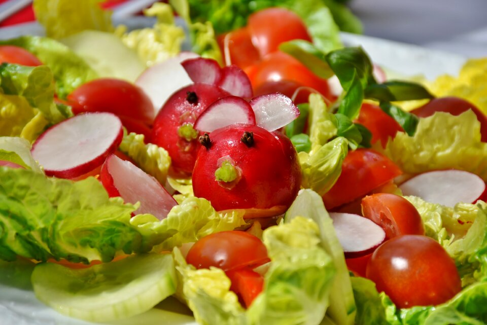 Cucumber iceberg lettuce green