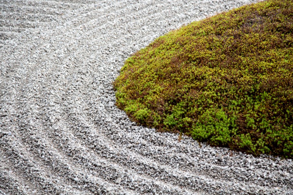 Japan, Kyoto prefecture, Garden