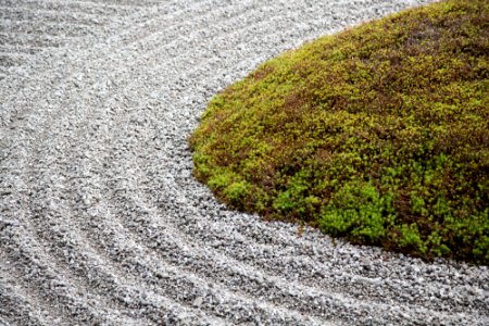 Japan, Kyoto prefecture, Garden