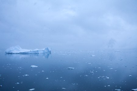 Antarctica, Neko harbor, Travel