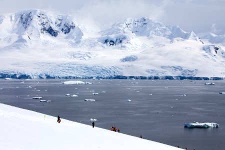 Antarctica, Travel photo