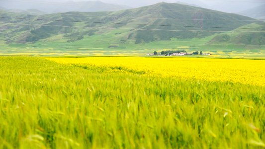 Menyuan, China, Qinghai