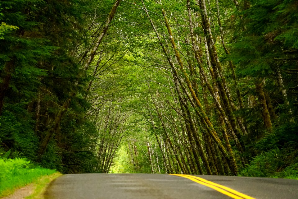 Olympic national park, Port angeles, United states