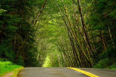 Olympic national park, Port angeles, United states photo