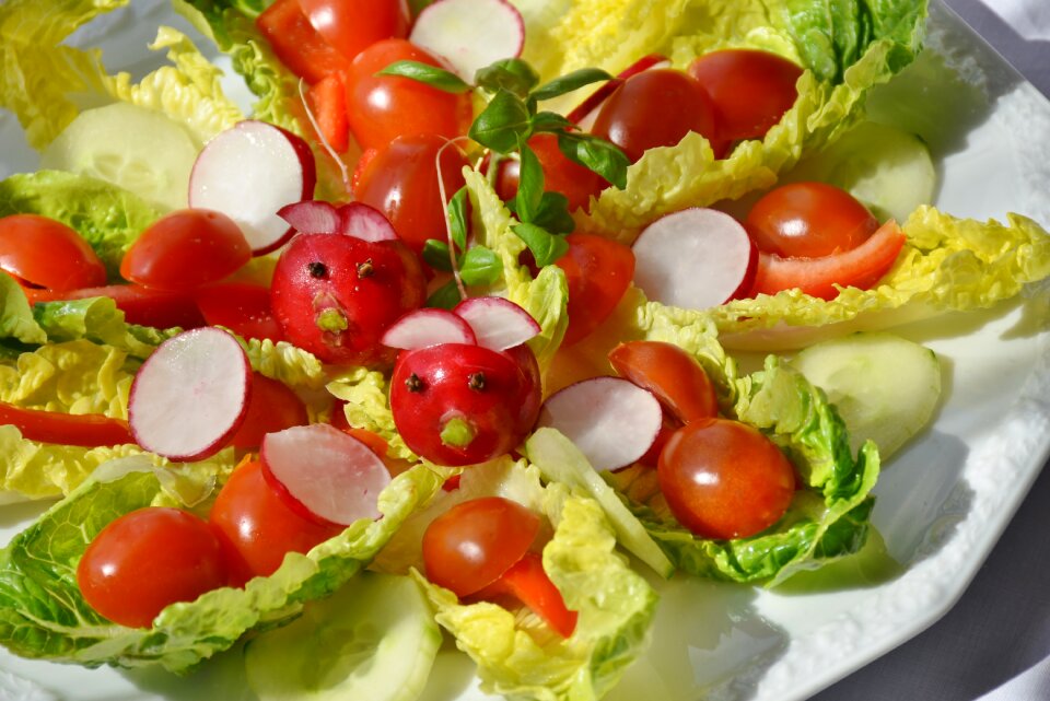 Cucumber iceberg lettuce green
