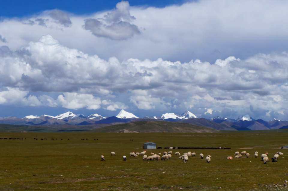 Nam co, China, Grassfield