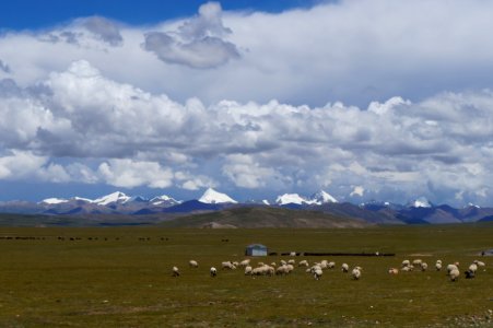 Nam co, China, Grassfield