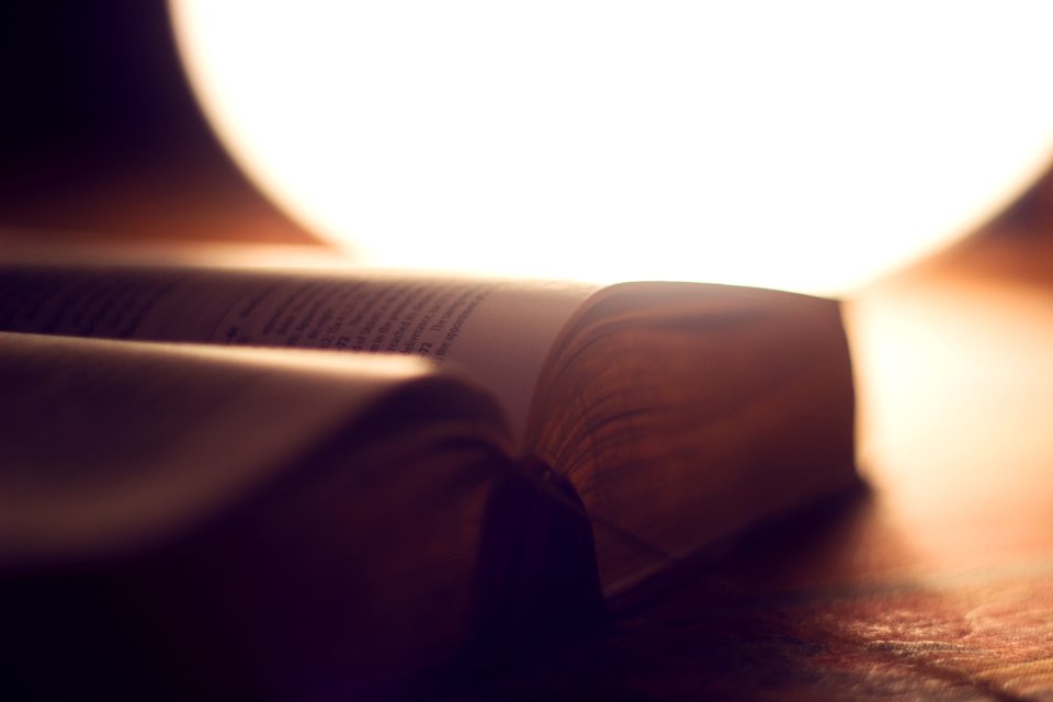 open book in shallow photography