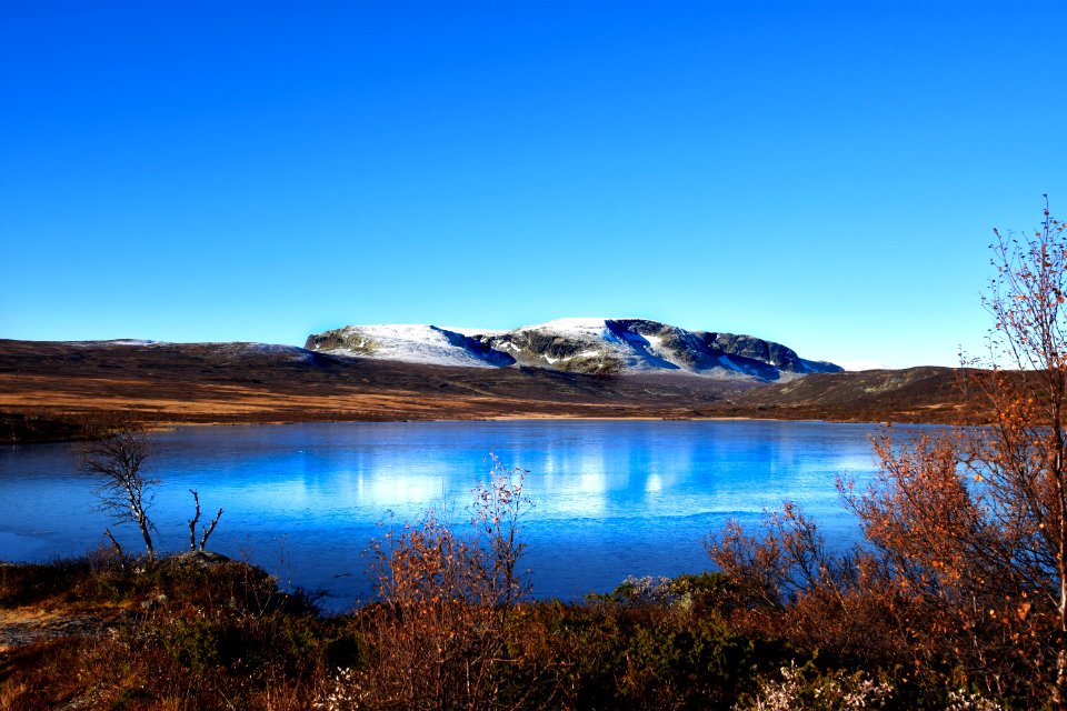 Hallingskarvet, Norge