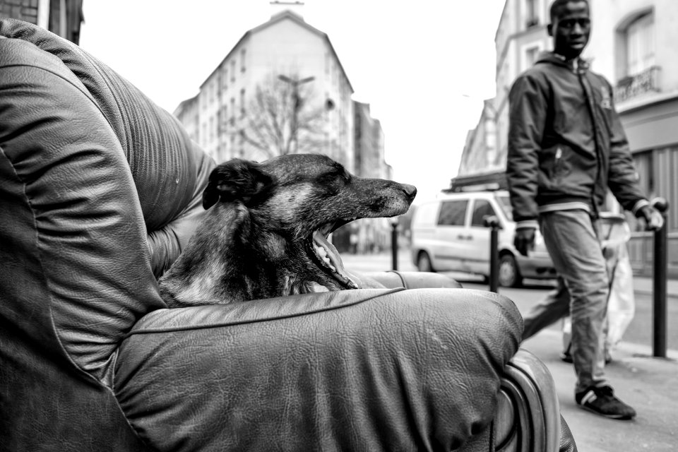 Pantin, Street photo, Europe