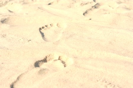 Footprint, Florida, Jacksonville