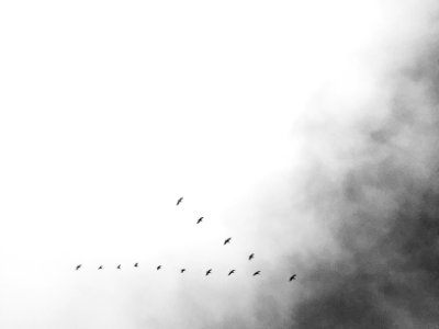 Sky, Birds, Avila photo