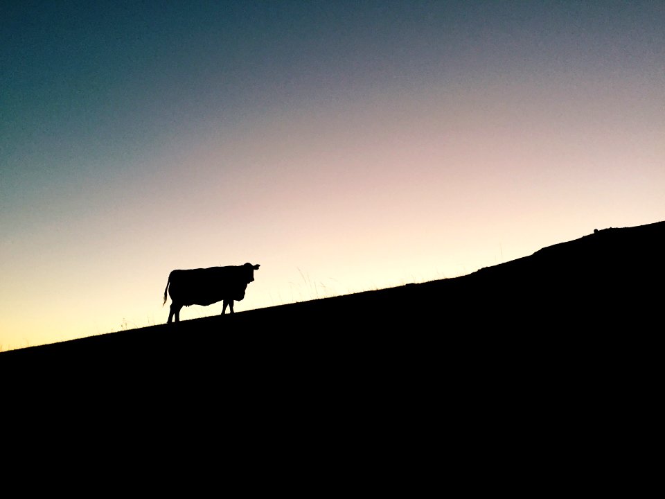 Agrarian, Hill, California