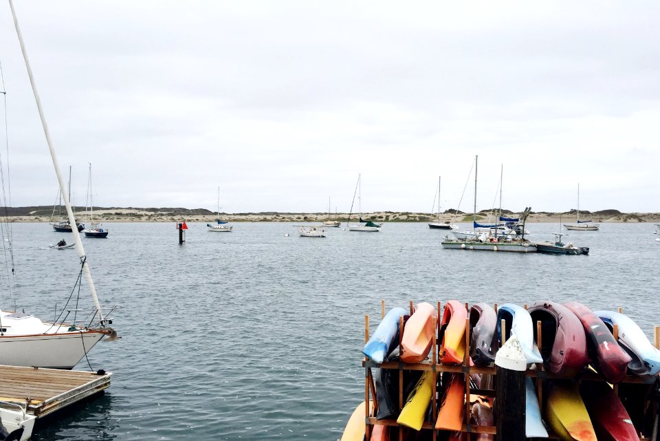 Morro bay, United states, Ocean