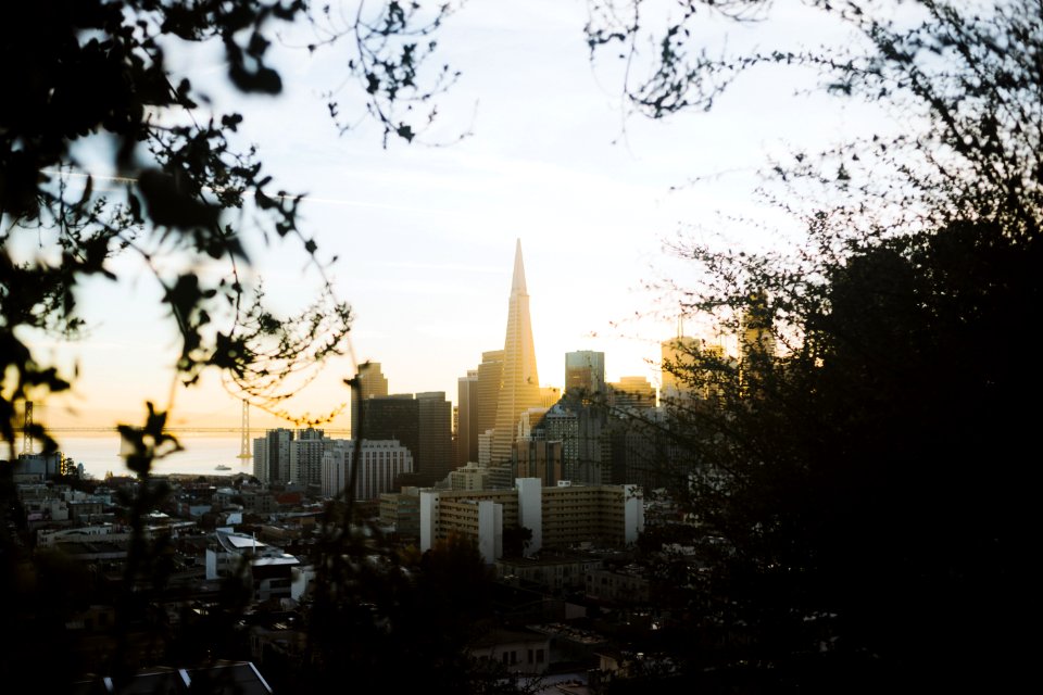 San francisco, Ina coolbrith park, United states