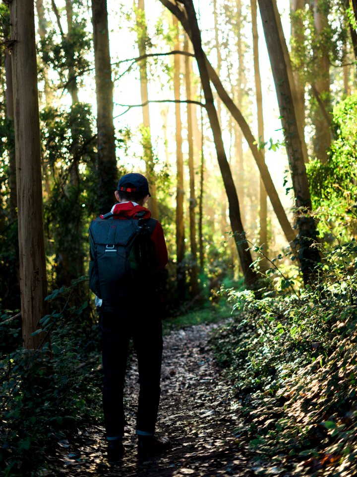 San francisco, Mount sutro, United states