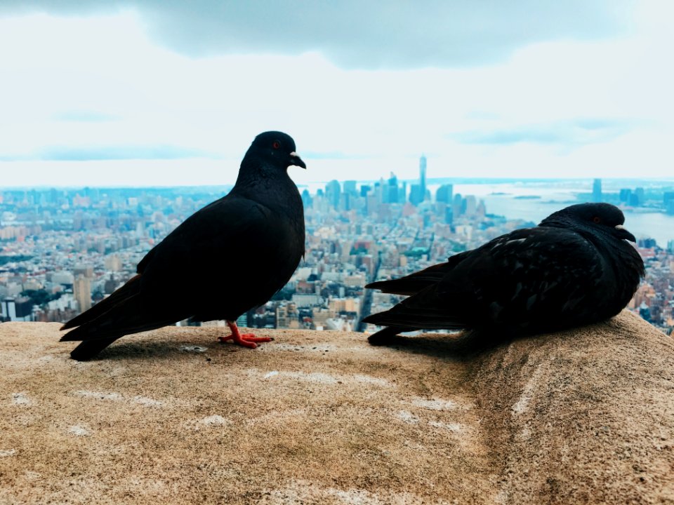 Empire state building, New york, United states