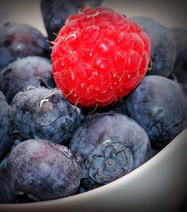 Fruit vitamins blue photo