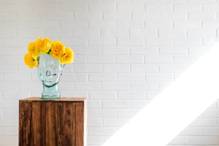 Flower shop, Model, Maniquin