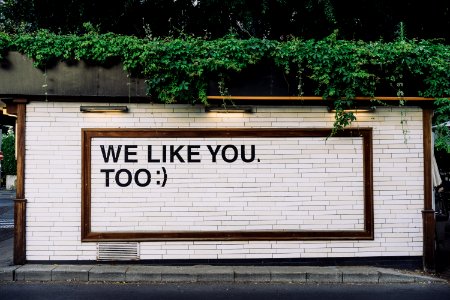 We like you too quotes on wall