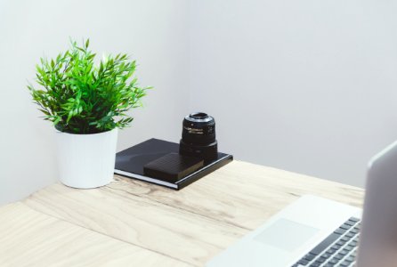 black camera on table near green plant on pot inside the room photo