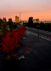Autumn, Drinking, Talking