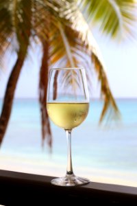 Wine, Wine glass, Glass photo