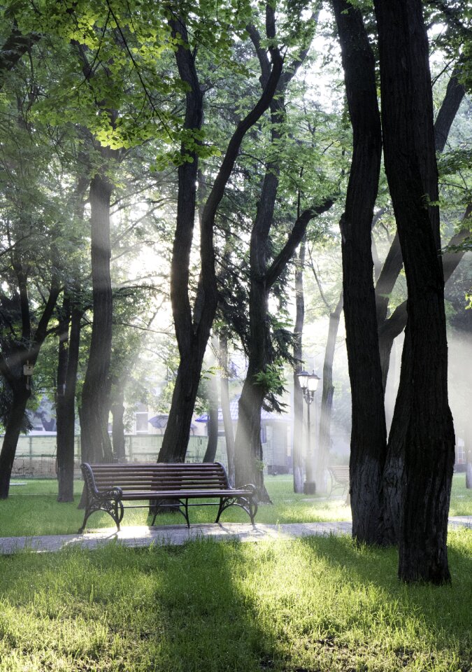 Sunrise sunlight for relax