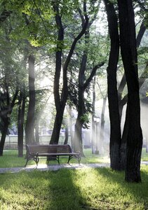 Sunrise sunlight for relax